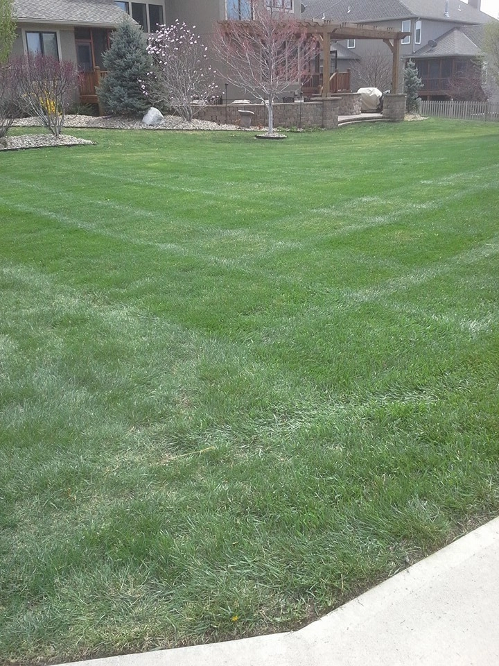 SK Lawn Care - Photo 6