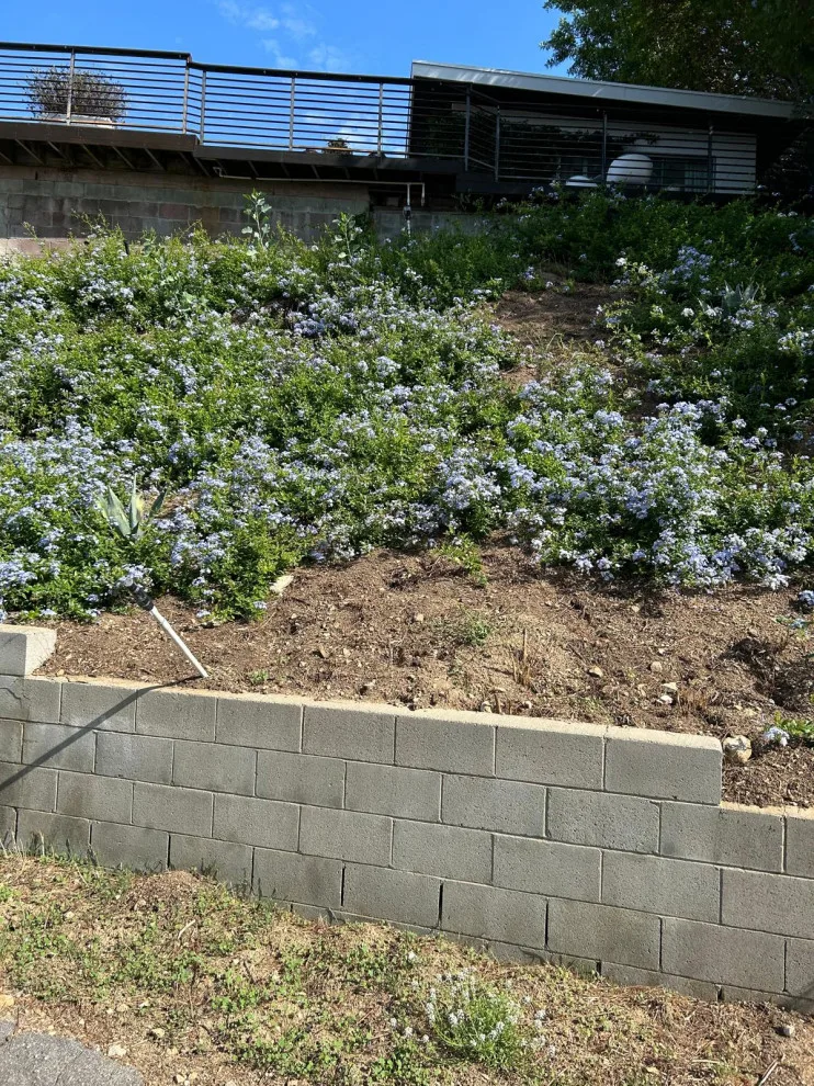 California Pros Construction & Renovation INC - Photo 14