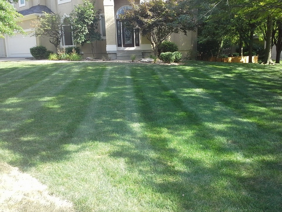 SK Lawn Care - Photo 13
