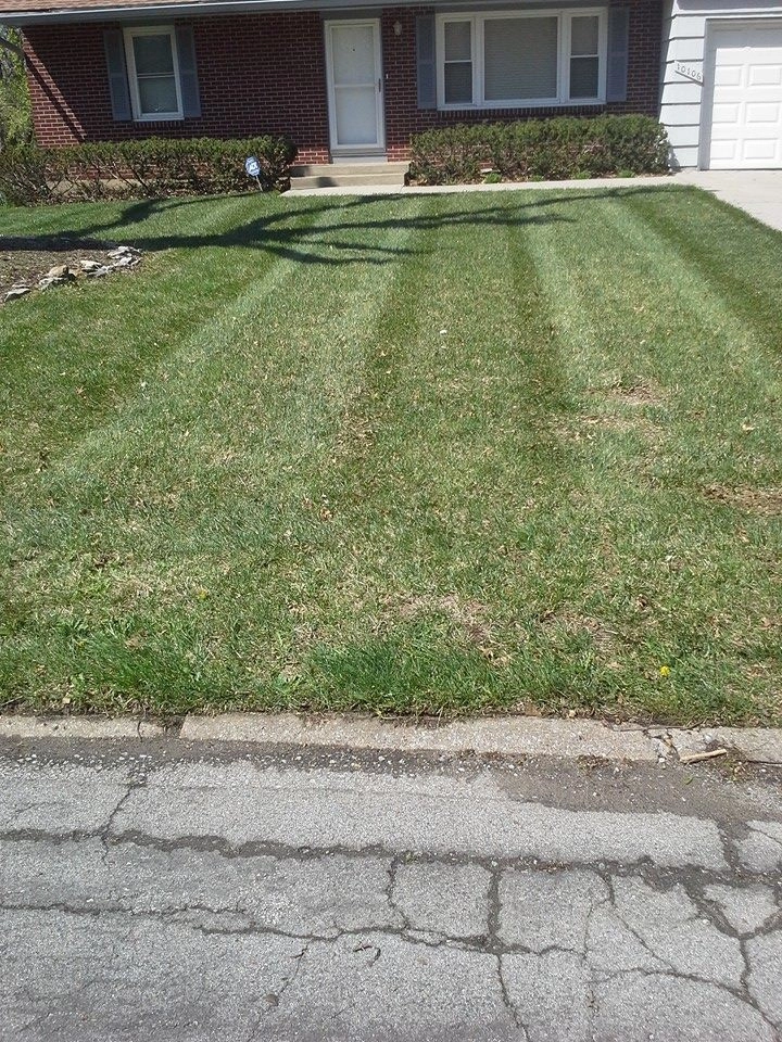 Lawn Care by SK Lawn Care - Photo 13