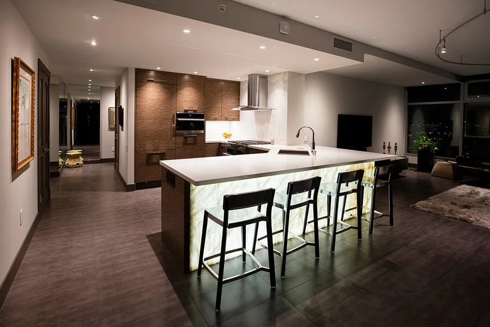 Renaissance Urban Condominium by Priority 1 Project Management - Photo 3