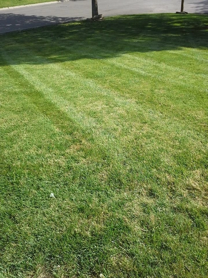 Lawn Care by SK Lawn Care - Photo 10