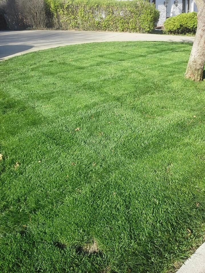 SK Lawn Care - Photo 14