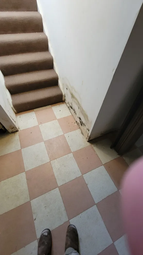 Property Conversion Rentals by Next Project Renovations - Photo 73