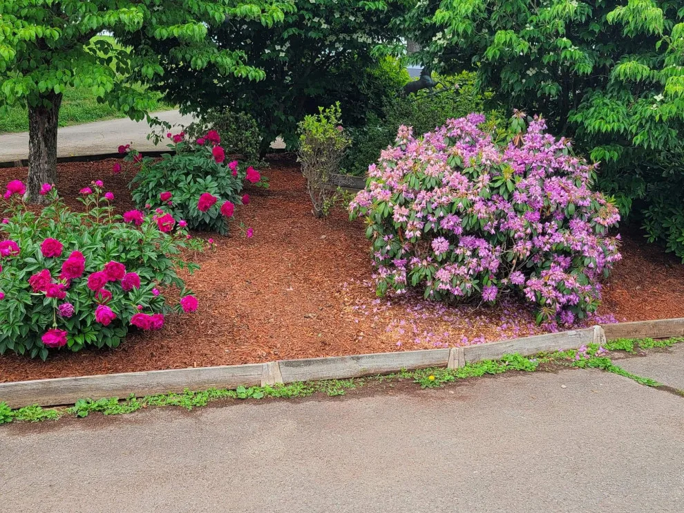 Starlite Renovations & Landscapes - Photo 5