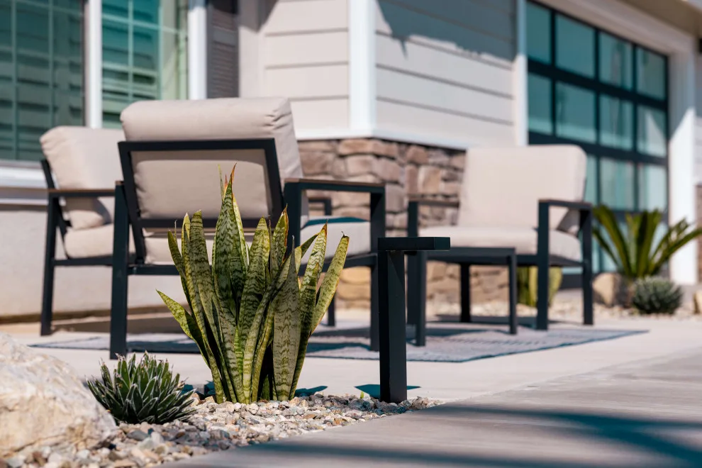 Backyard Patio with Resort Vibes by Royal Family Construction, Inc. - Photo 5