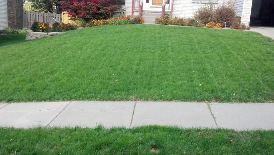 Lawn Care by SK Lawn Care - Photo 15