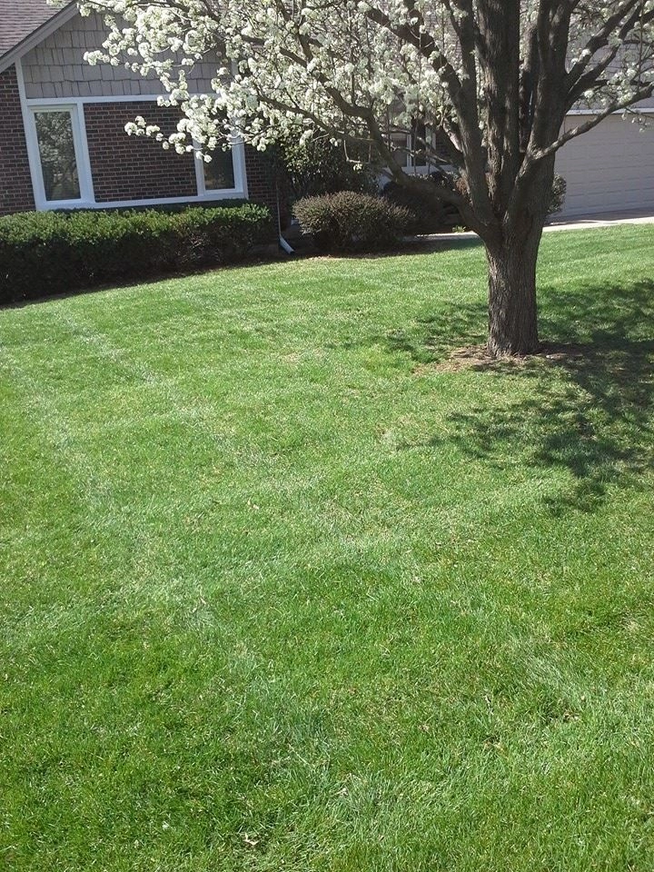 SK Lawn Care - Photo 2