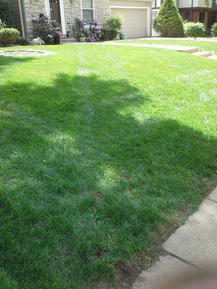 SK Lawn Care - Photo 8