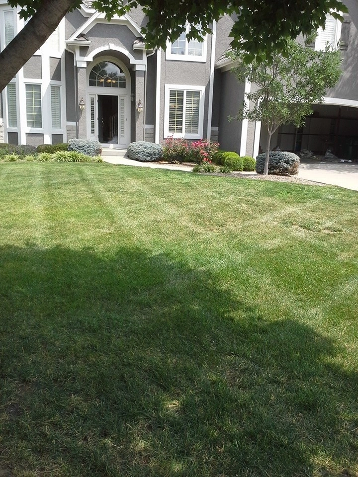 Lawn Care by SK Lawn Care - Photo 11