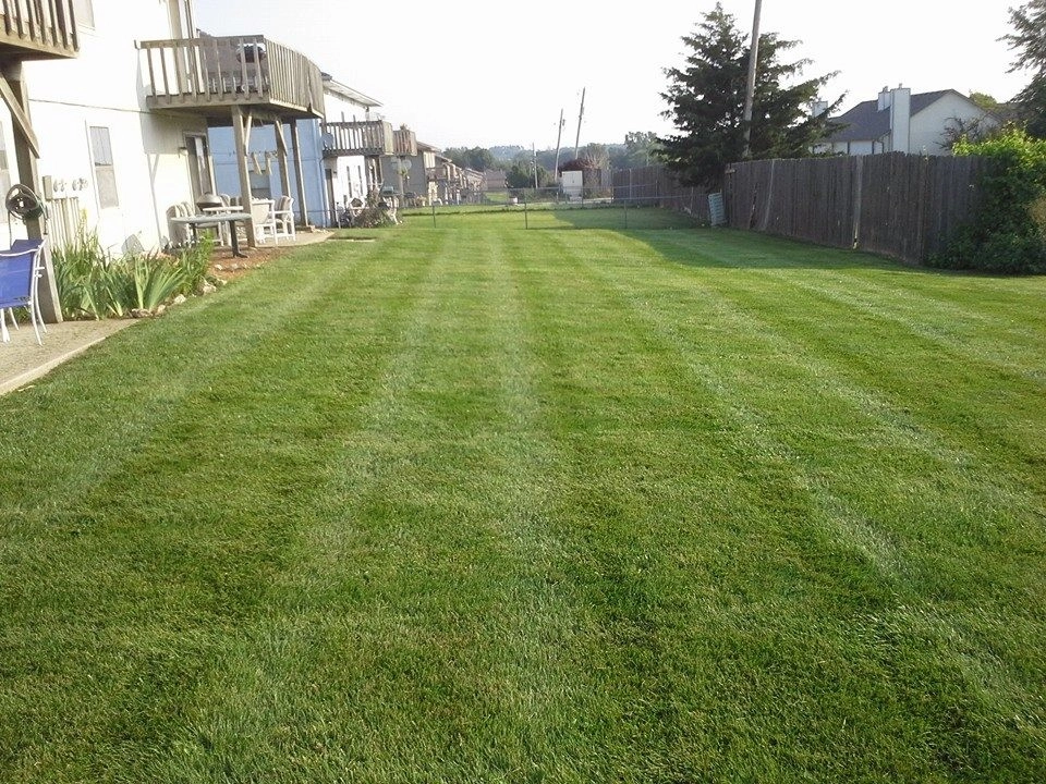 SK Lawn Care - Photo 7