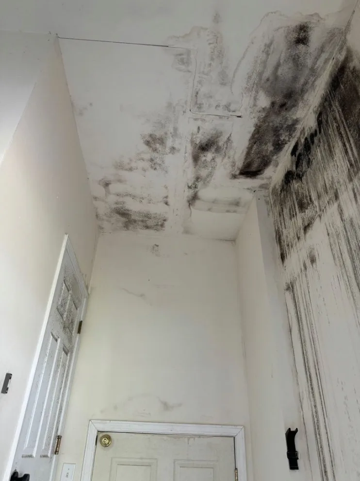 Paul Davis Remodeling & Restoration - Photo 3