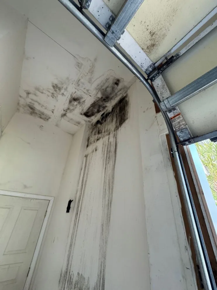 Paul Davis Remodeling & Restoration - Photo 14
