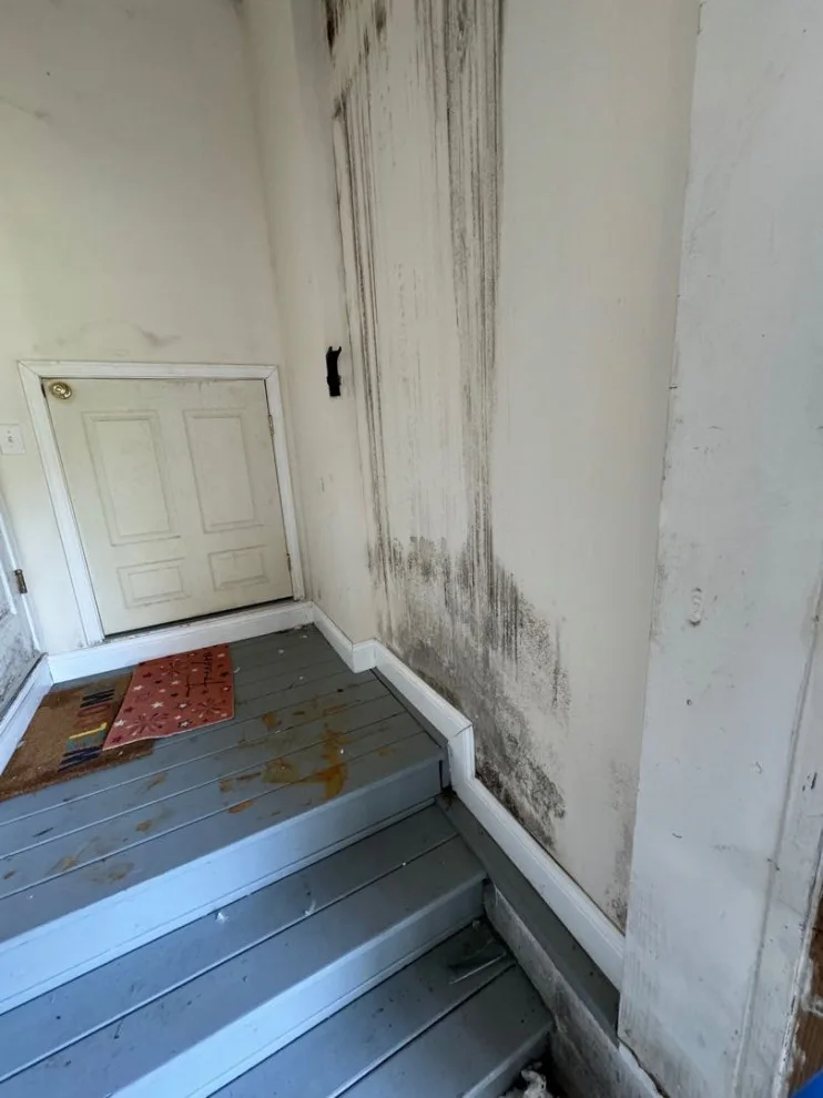 Paul Davis Remodeling & Restoration - Photo 7