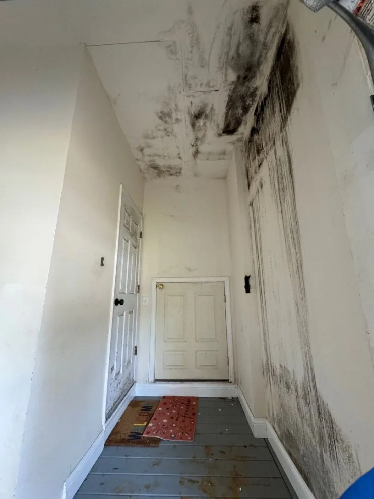 Paul Davis Remodeling & Restoration - Photo 4