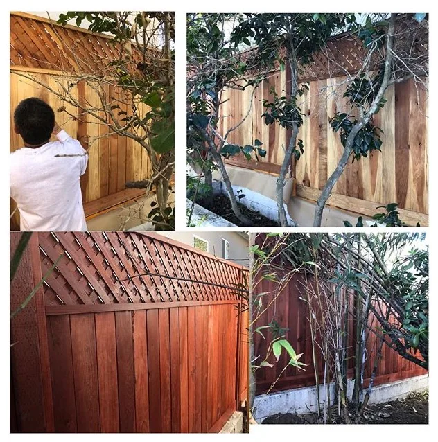 Stain Initiatives by Pro Performance Painting - Photo 5