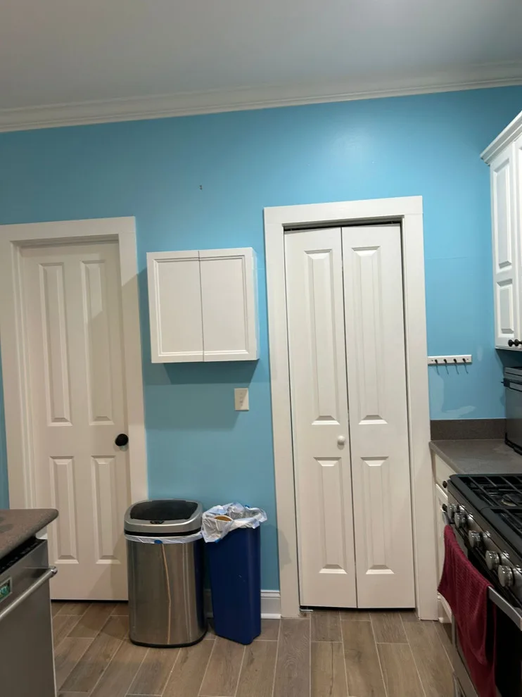 Thiago Painting Services - Photo 4