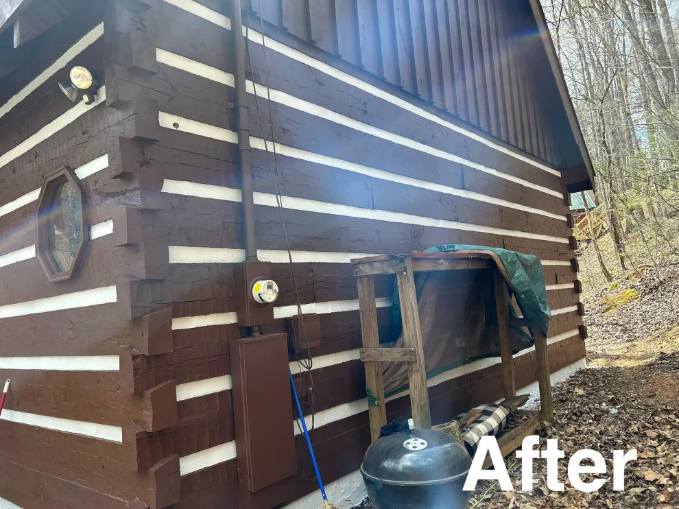 Whaleys Painting and More's Cabin Staining Project Completed by Whaleys Painting And More - Photo 3