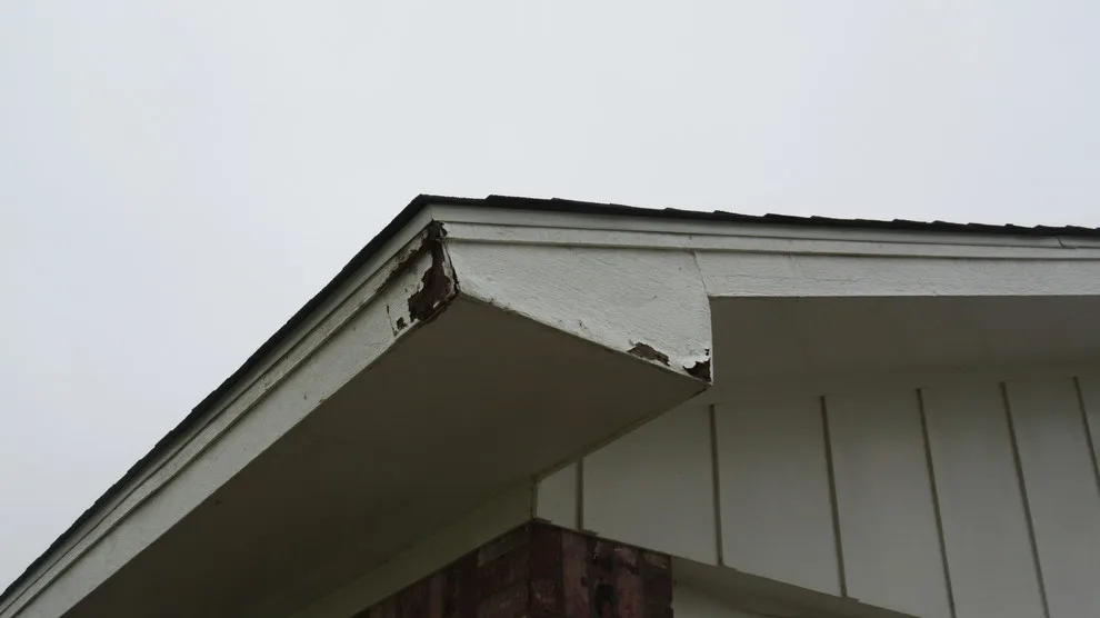 A Fractured Household by The Abilene Painters - Restoration & Remodel - Photo 25