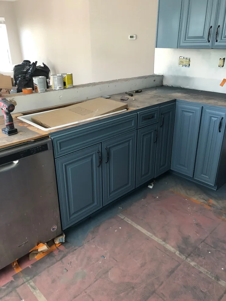 Cabinet Initiatives by Pro Performance Painting - Photo 21