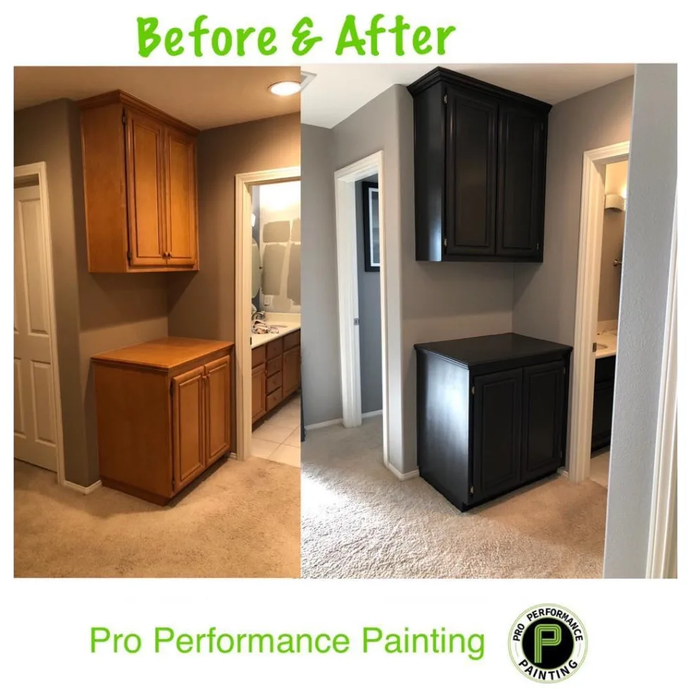 Cabinet Initiatives by Pro Performance Painting - Photo 22