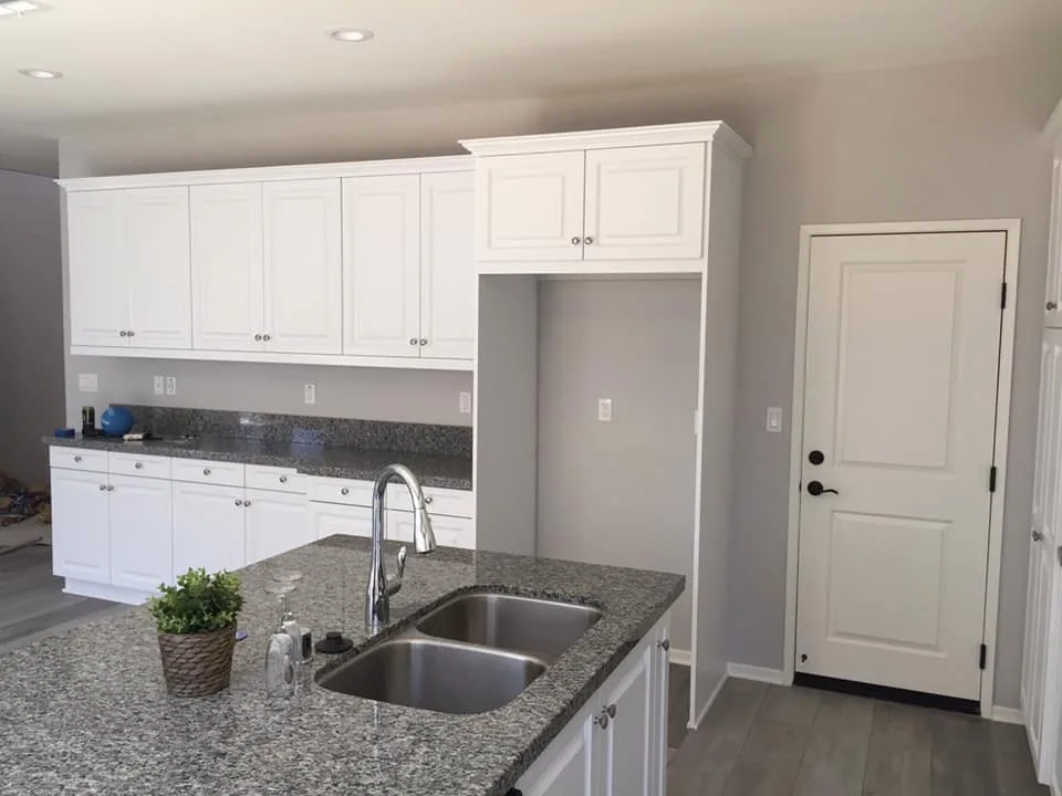 Cabinet Initiatives by Pro Performance Painting - Photo 3