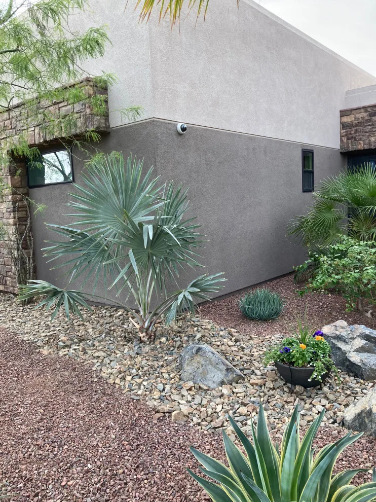 Gray Stucco Refresh by López Painting - Photo 2