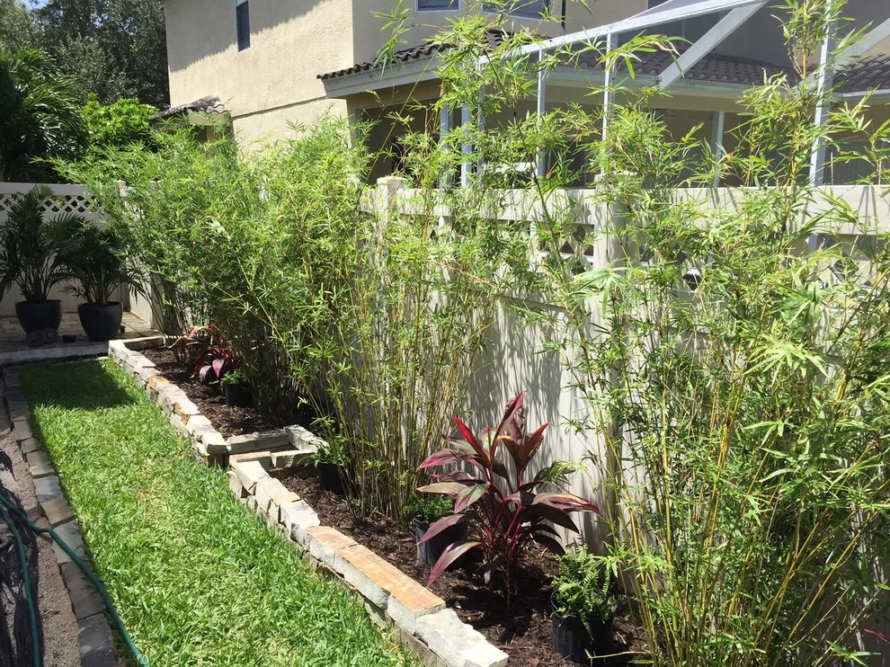 Tropical Oasis Backyard by WelcomeScape Curb Appeal Designs - Photo 6
