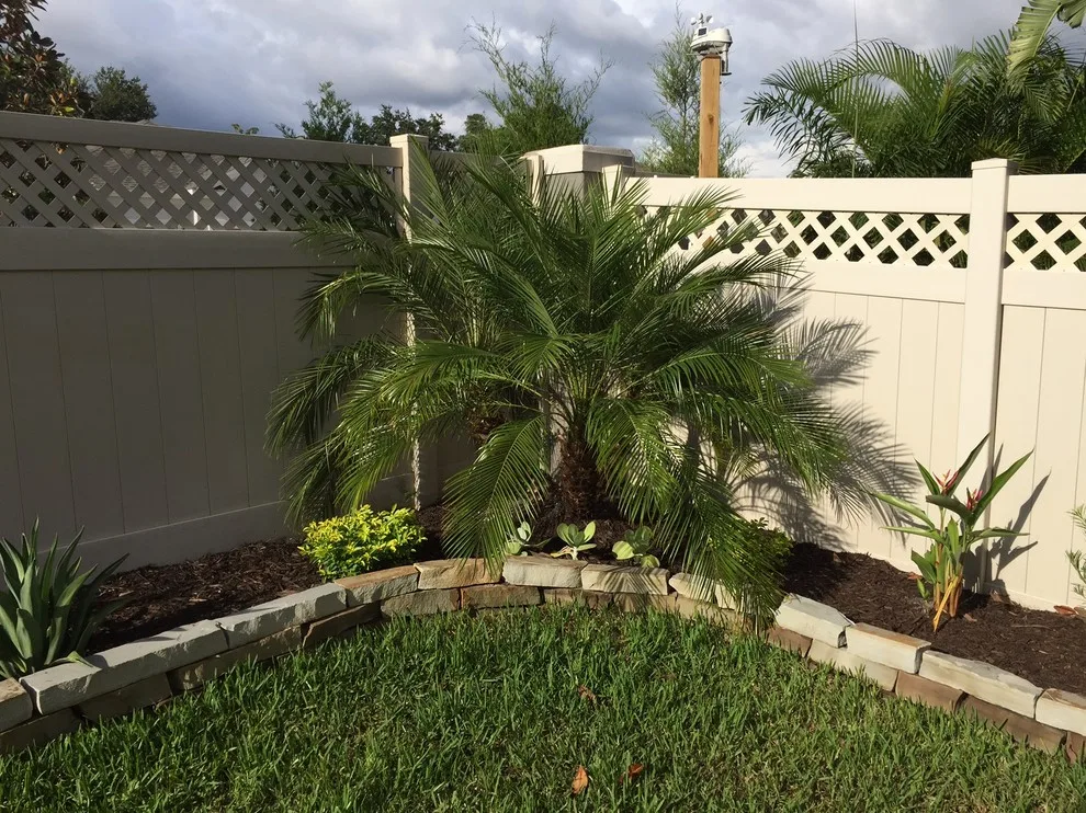 Tropical Oasis Backyard by WelcomeScape Curb Appeal Designs - Photo 3