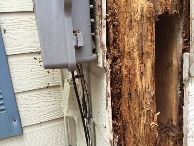 360 Painting Austin/Bastrop - Photo 12
