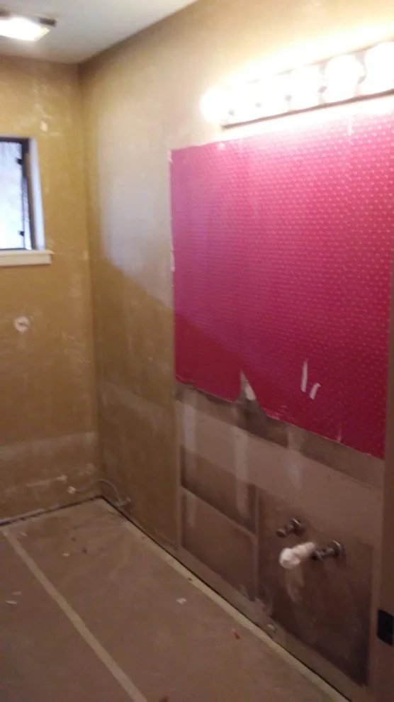 Hallsville Bathroom Renovation by Paint Plus - Photo 5