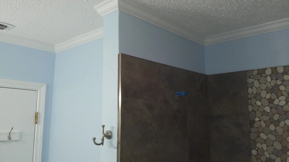 Hallsville Bathroom Renovation by Paint Plus - Photo 18