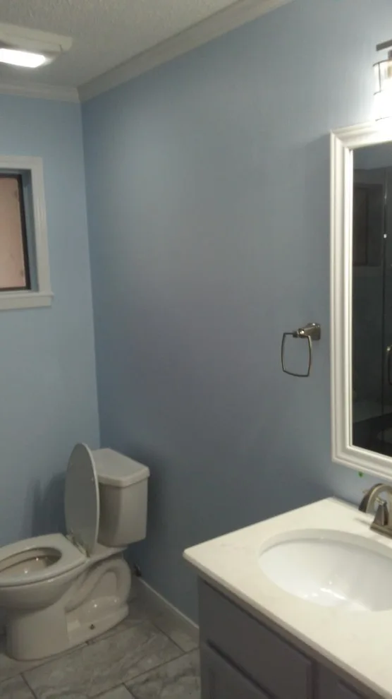 Hallsville Bathroom Renovation by Paint Plus - Photo 12