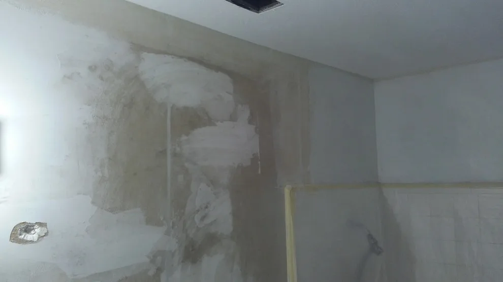 Longview Bathroom Renovation II by Paint Plus - Photo 15