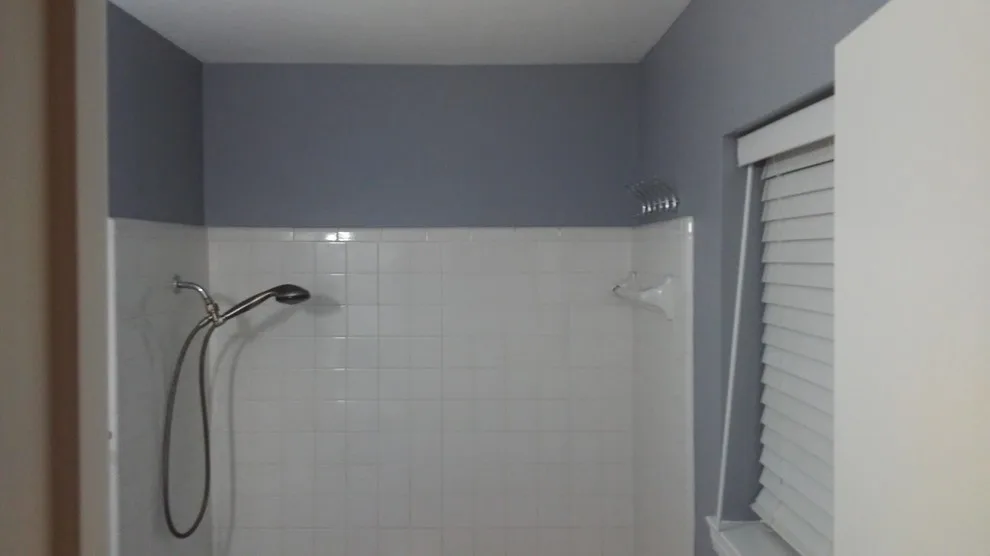 Longview Bathroom Renovation II by Paint Plus - Photo 8