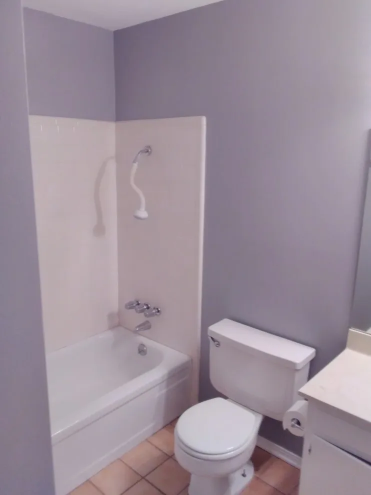 Longview Bathroom Renovation by Paint Plus - Photo 15