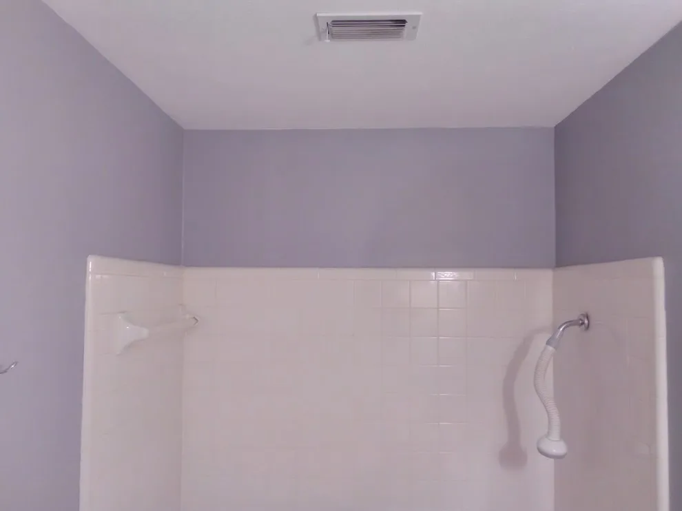 Longview Bathroom Renovation by Paint Plus - Photo 12