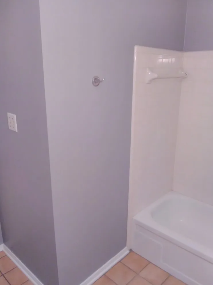 Longview Bathroom Renovation by Paint Plus - Photo 9
