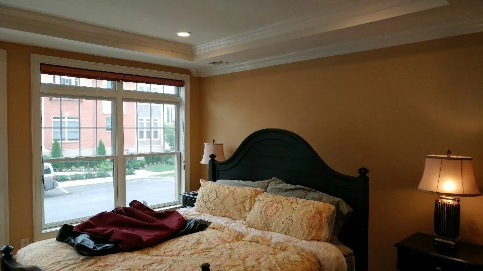 Bedroom Mural by Precision Painting Plus - Photo 7