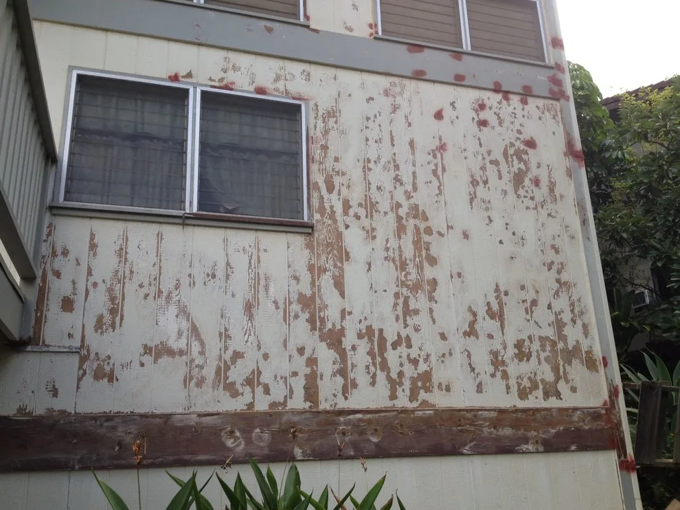 Transformation Journey by Impact Painting LLC - Photo 3