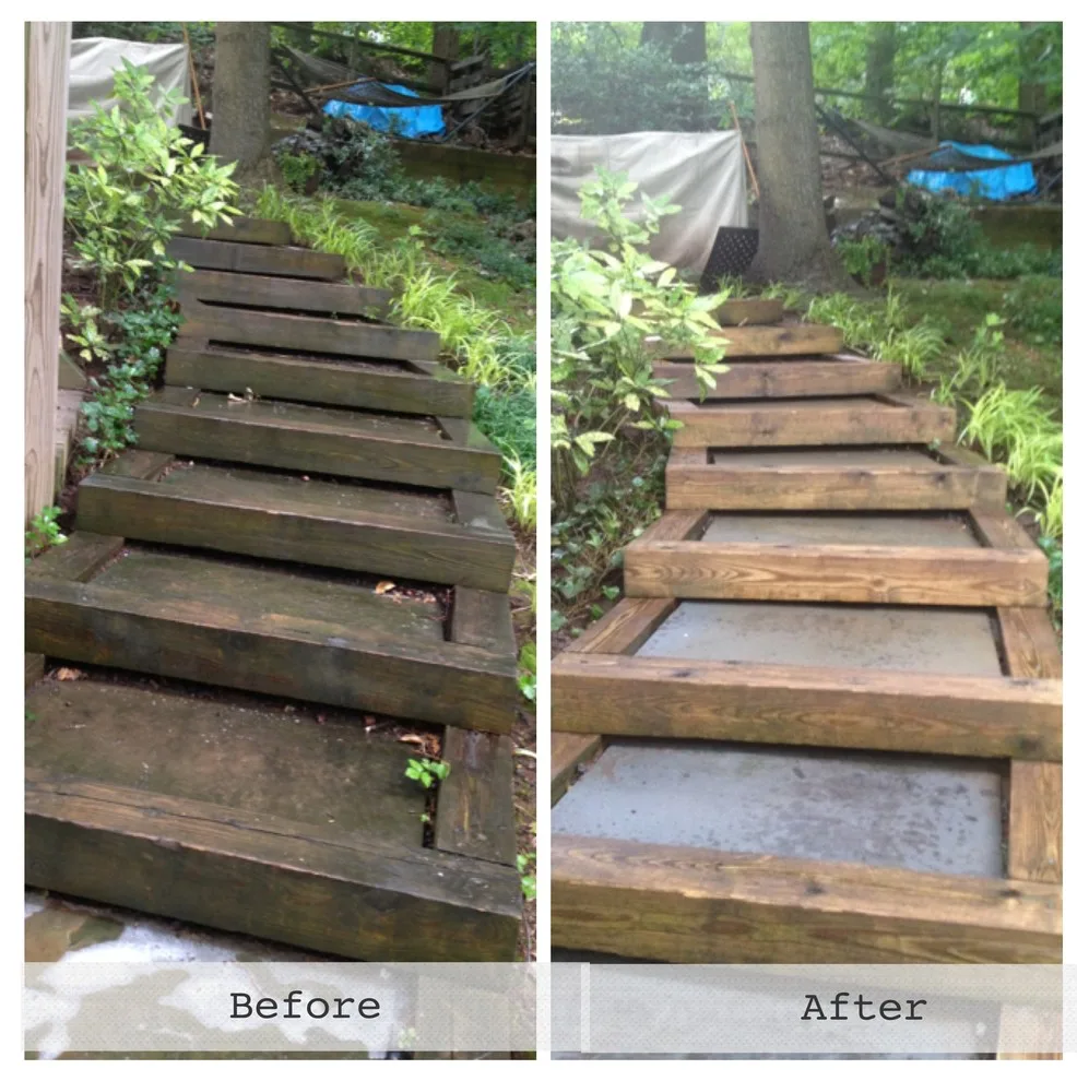 Outdoors by Williams Professional Painting - Photo 10