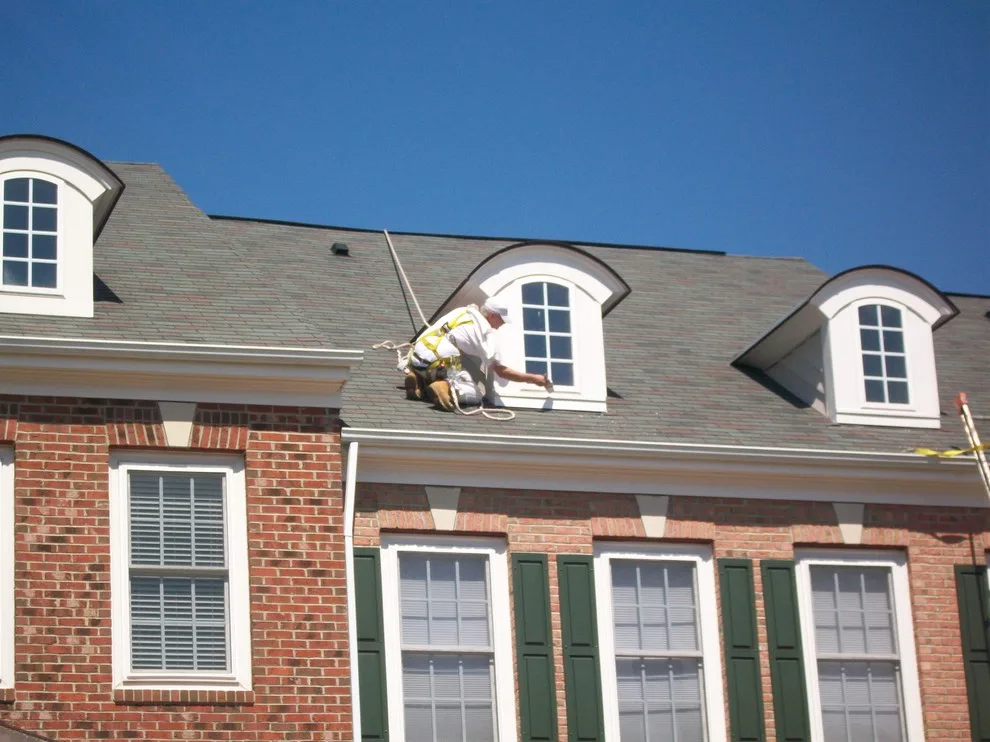 Outdoors by Williams Professional Painting - Photo 36