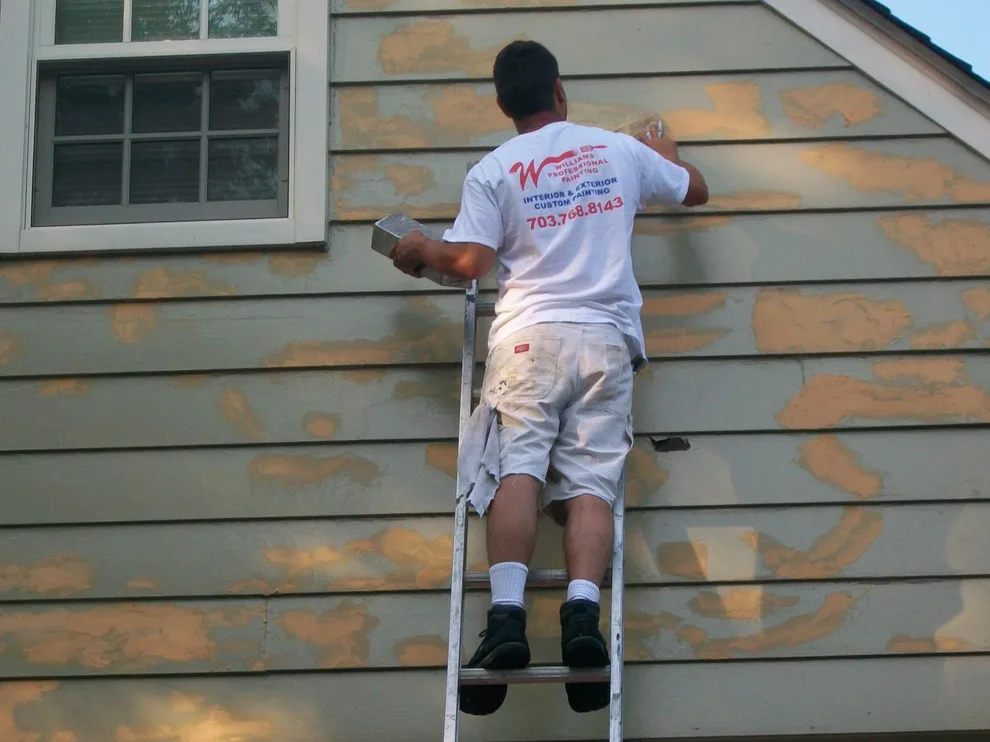 Outdoors by Williams Professional Painting - Photo 19