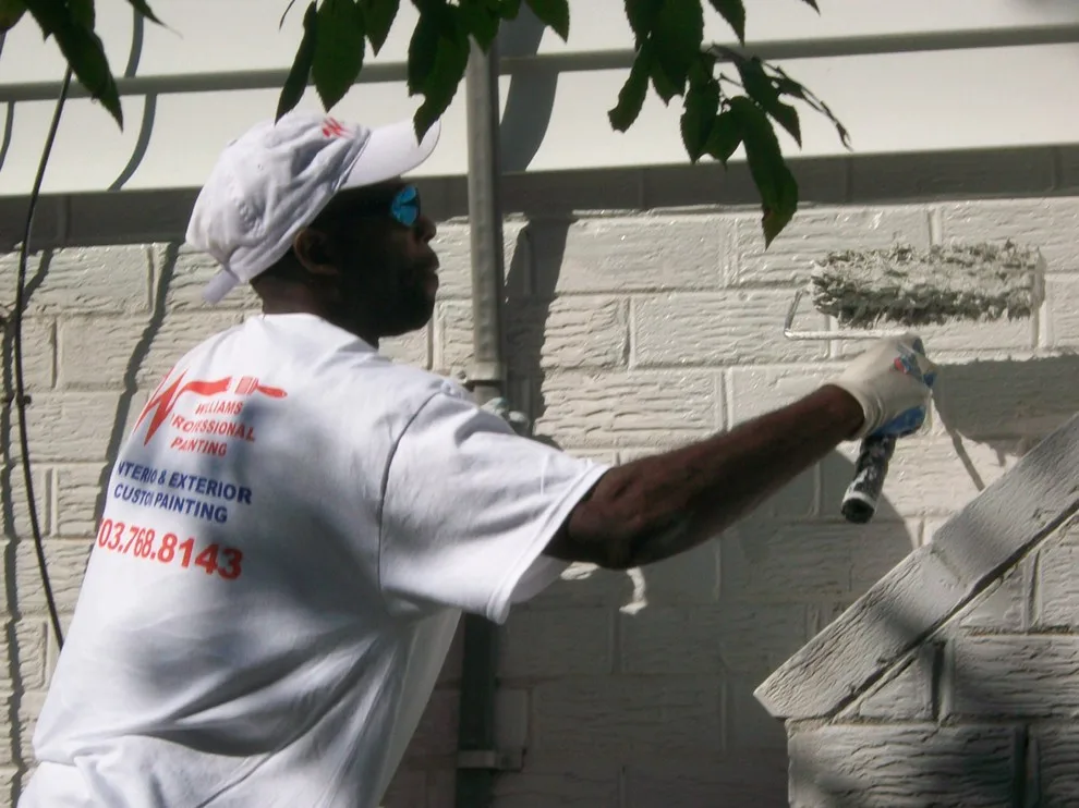 Outdoors by Williams Professional Painting - Photo 30