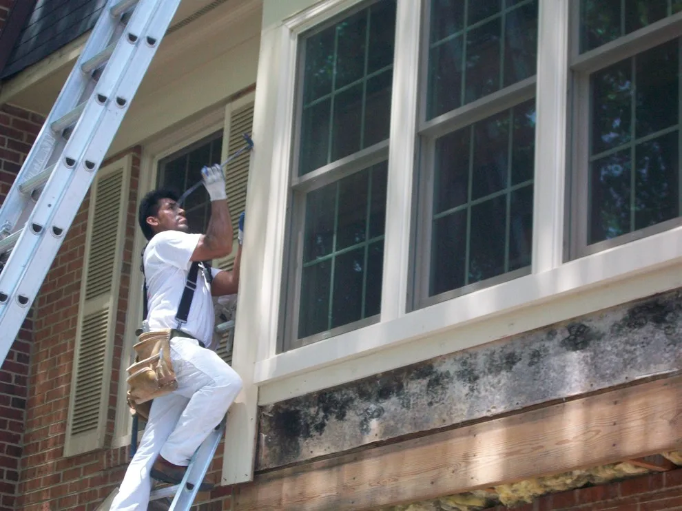 Outdoors by Williams Professional Painting - Photo 39