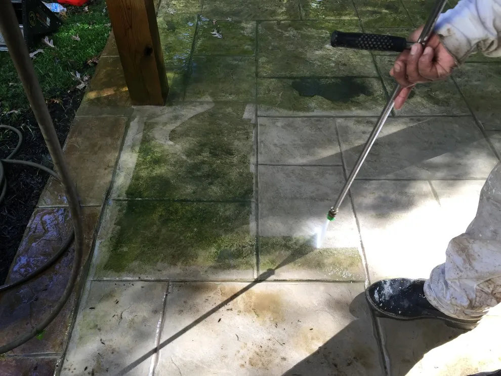 Outdoors by Williams Professional Painting - Photo 29