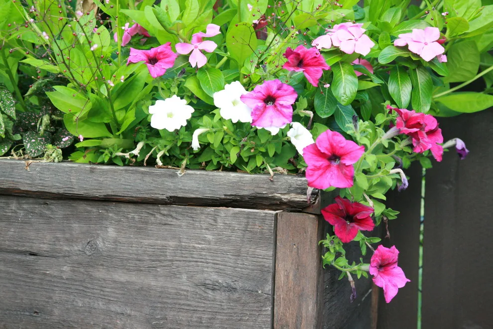 Urban Lot Transformed into Luxury Space by Paint The Town Red - Color Consulting - Photo 6