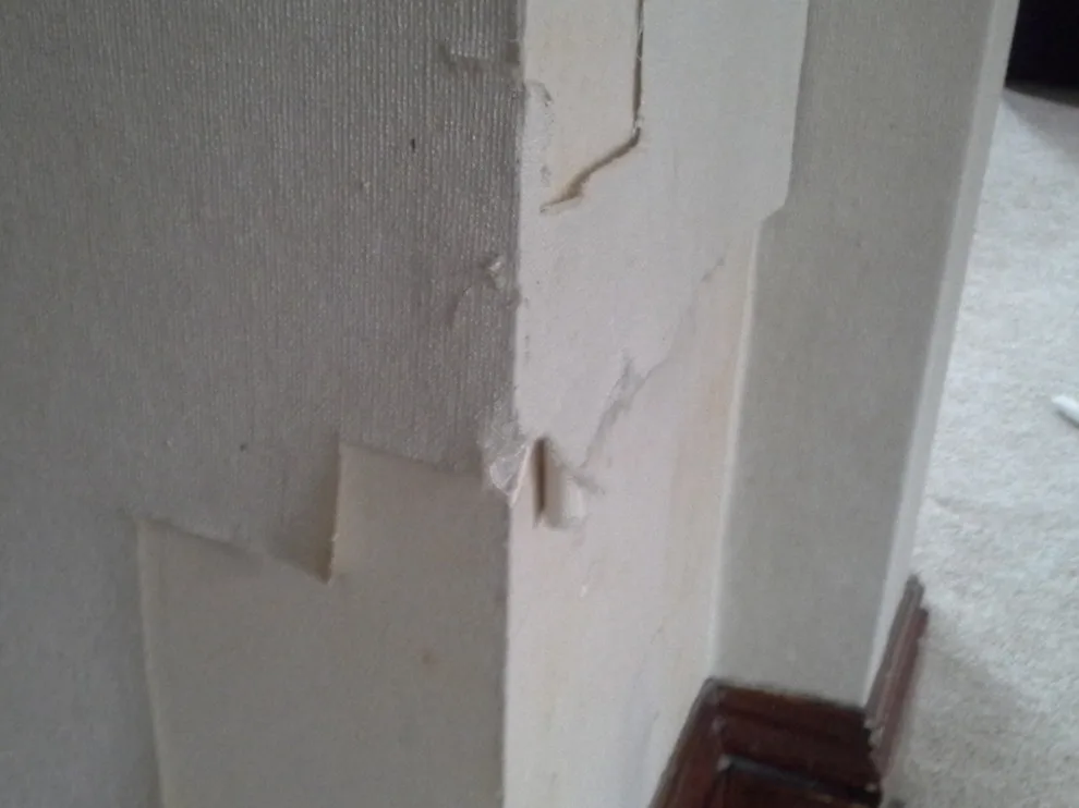 Wallpaper Removal: A Transformation Journey by Fresh Coat Mansfield - Photo 2