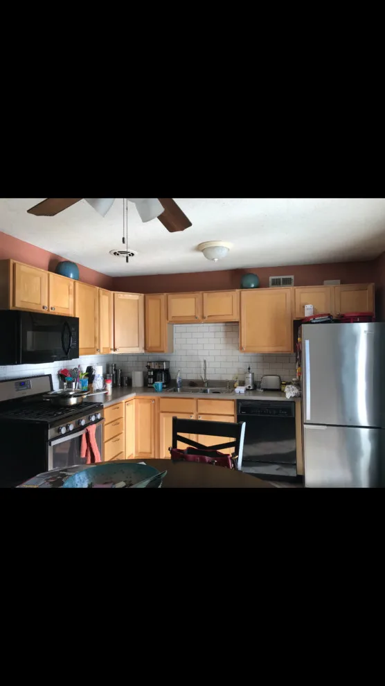 Cabinet Restoration by Radical Painting & Pressure Washing - Photo 5