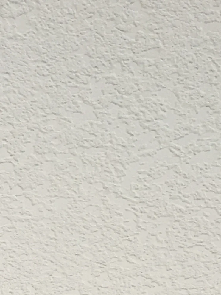 Ceilings and Textures by Florida Superior Painting, LLC - Photo 3